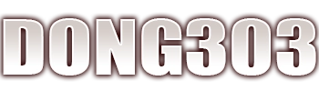 DONG303